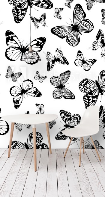Picture of monochrome butterfly background